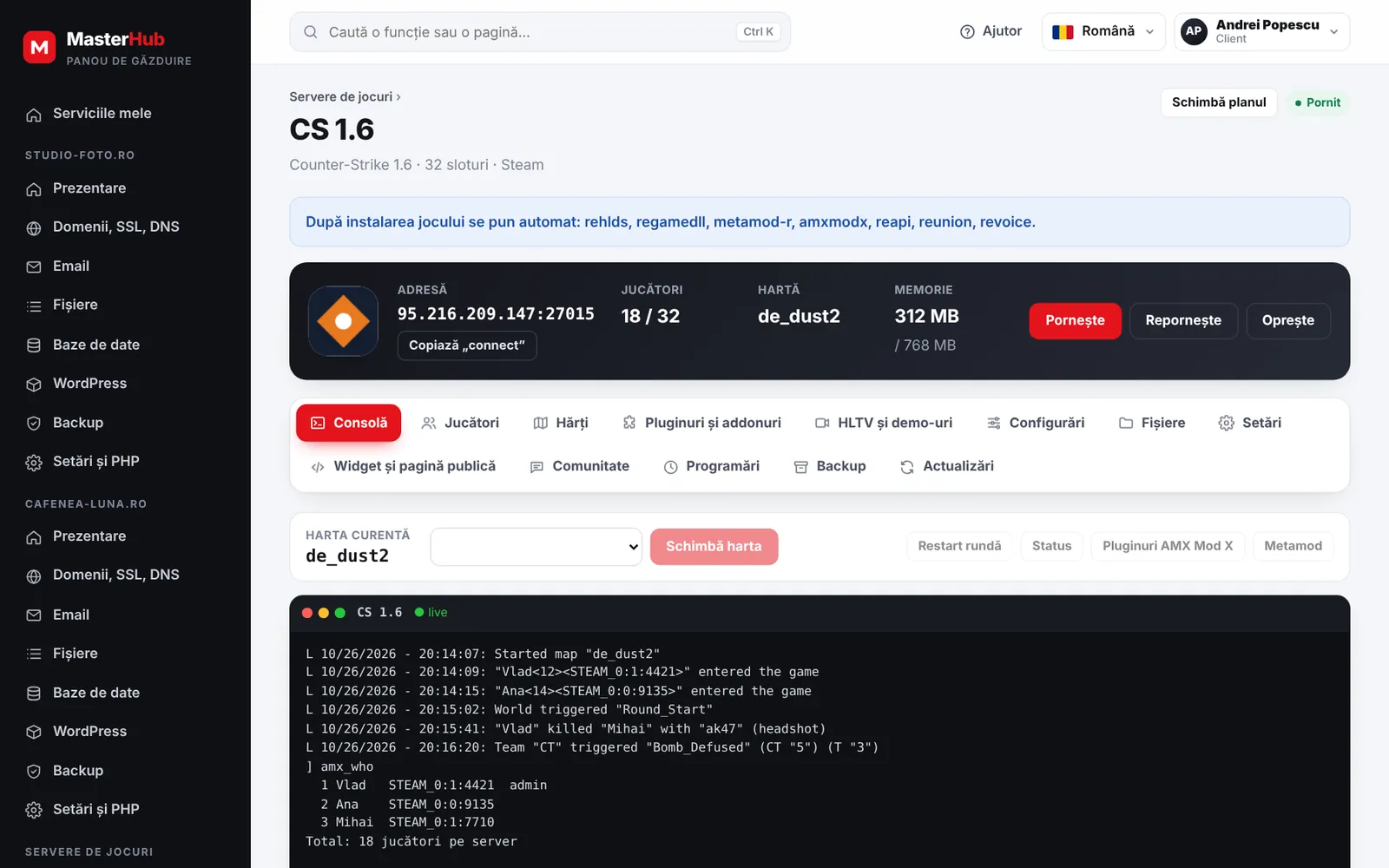 Panoul serverului de joc